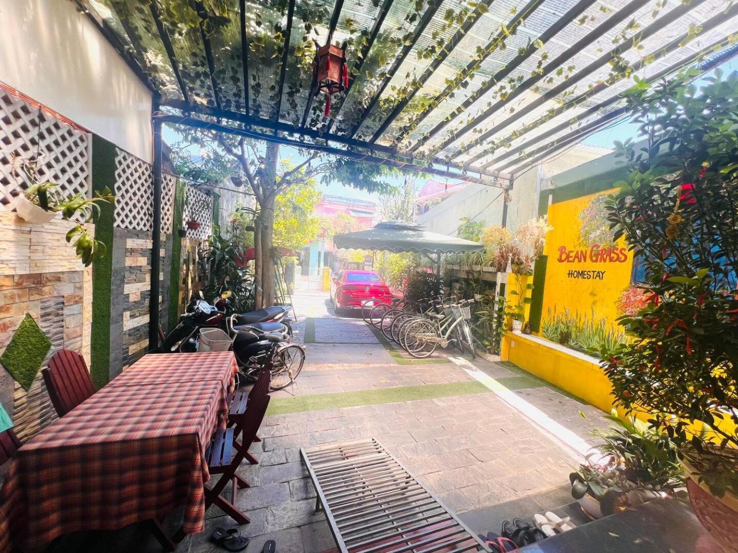 Bean Grass Hoi An