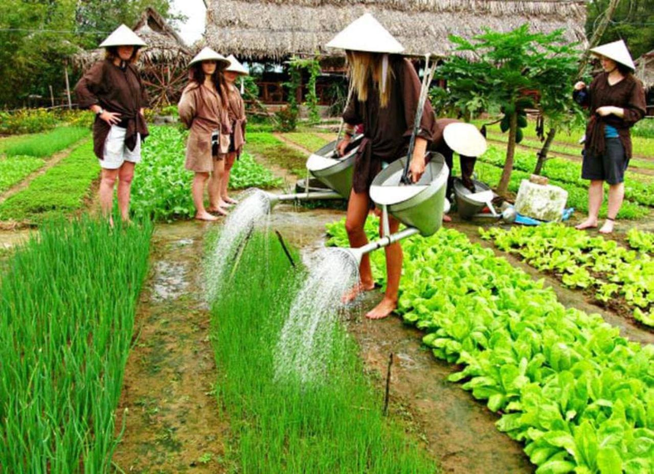 La Gai Homestay *