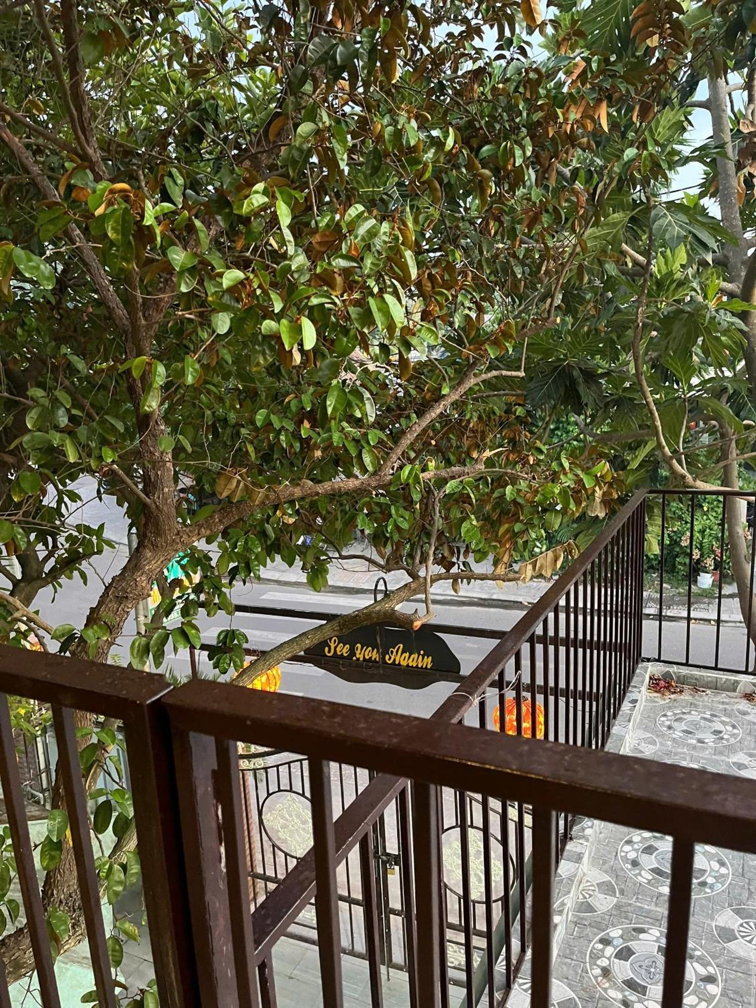 Hospedagem domiciliar Milk Fruit - An Bang Hoi An