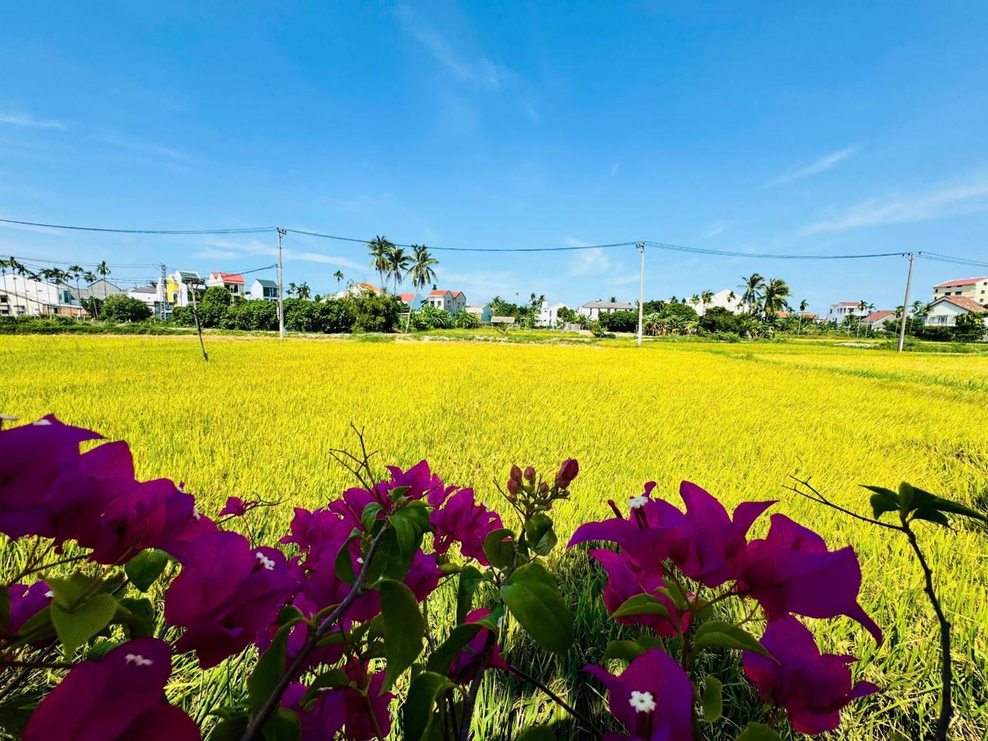Tai Ngoc Thao * Hoi An