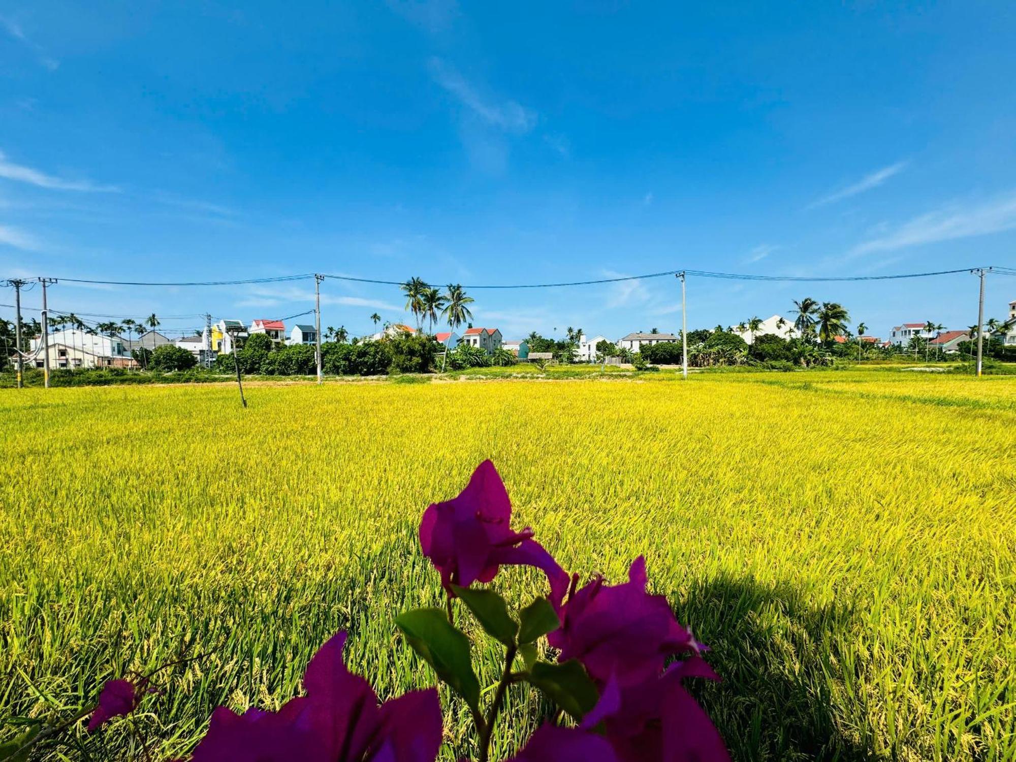 Bed & Breakfast Tai Ngoc Thao *