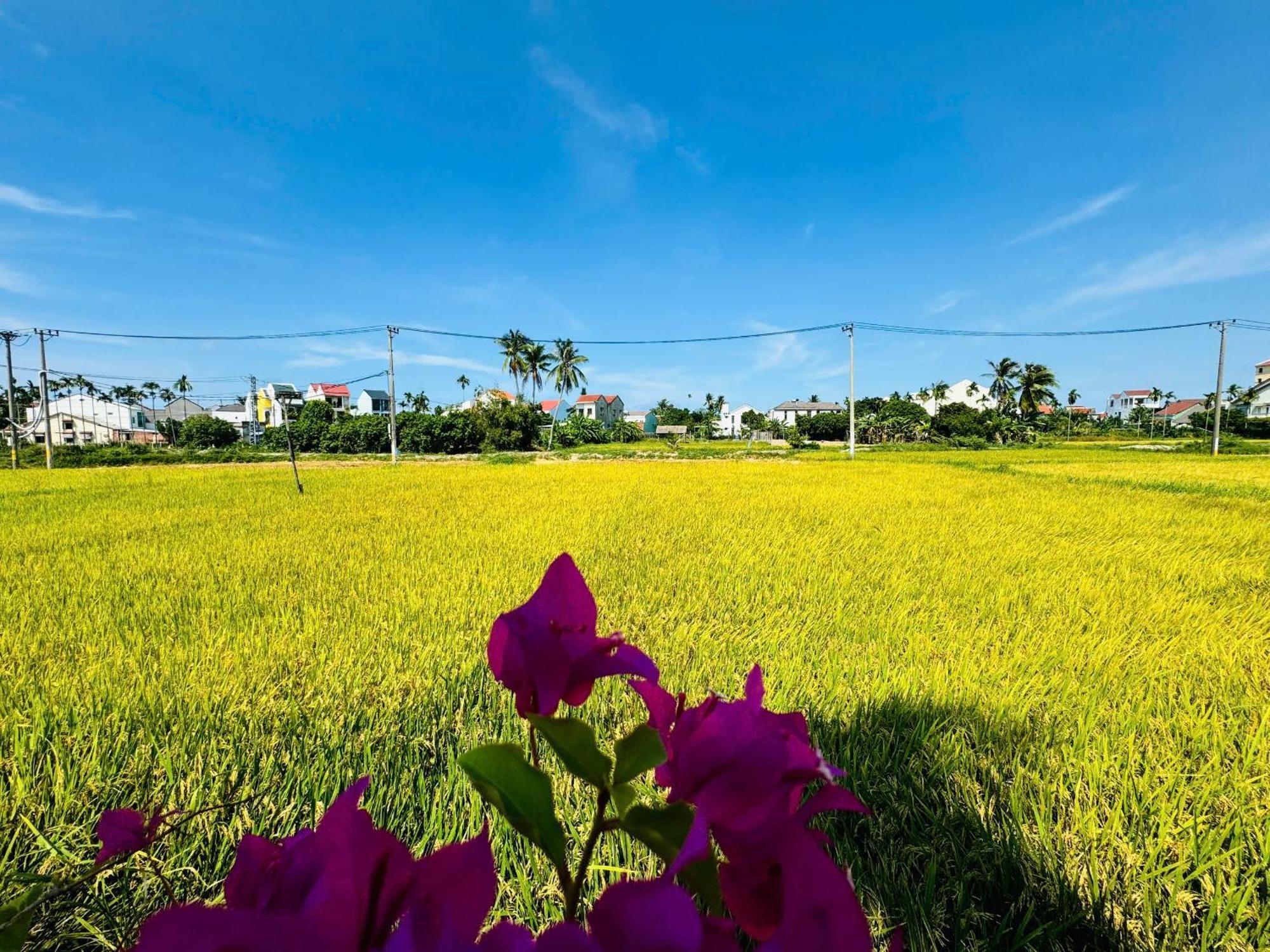 Tai Ngoc Thao Bed & Breakfast