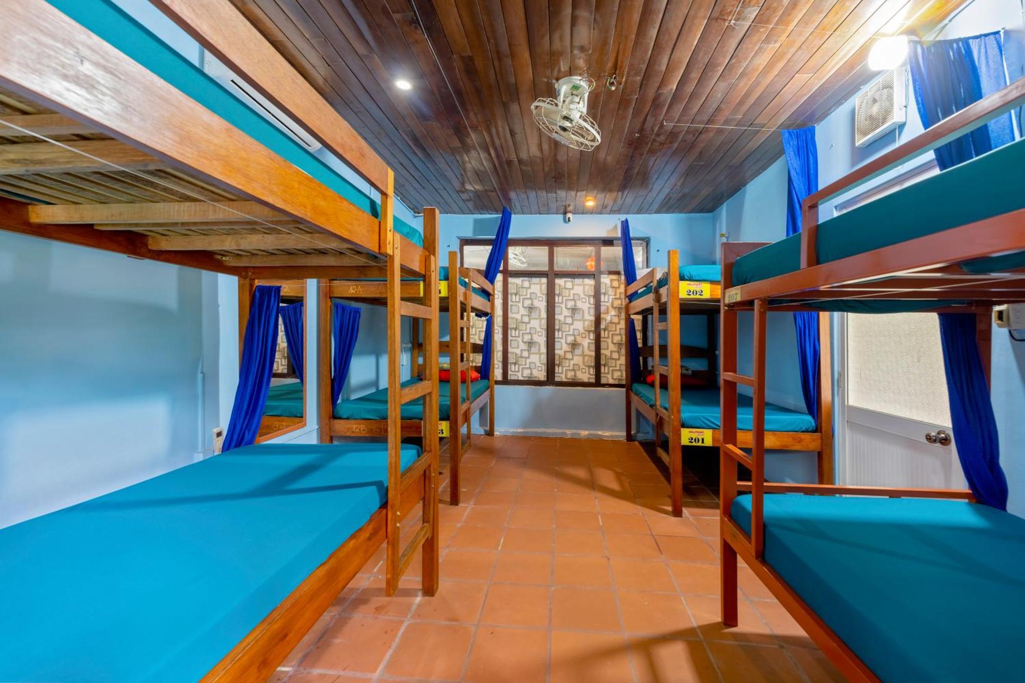 Serendipity Experience Hoi An Old Town