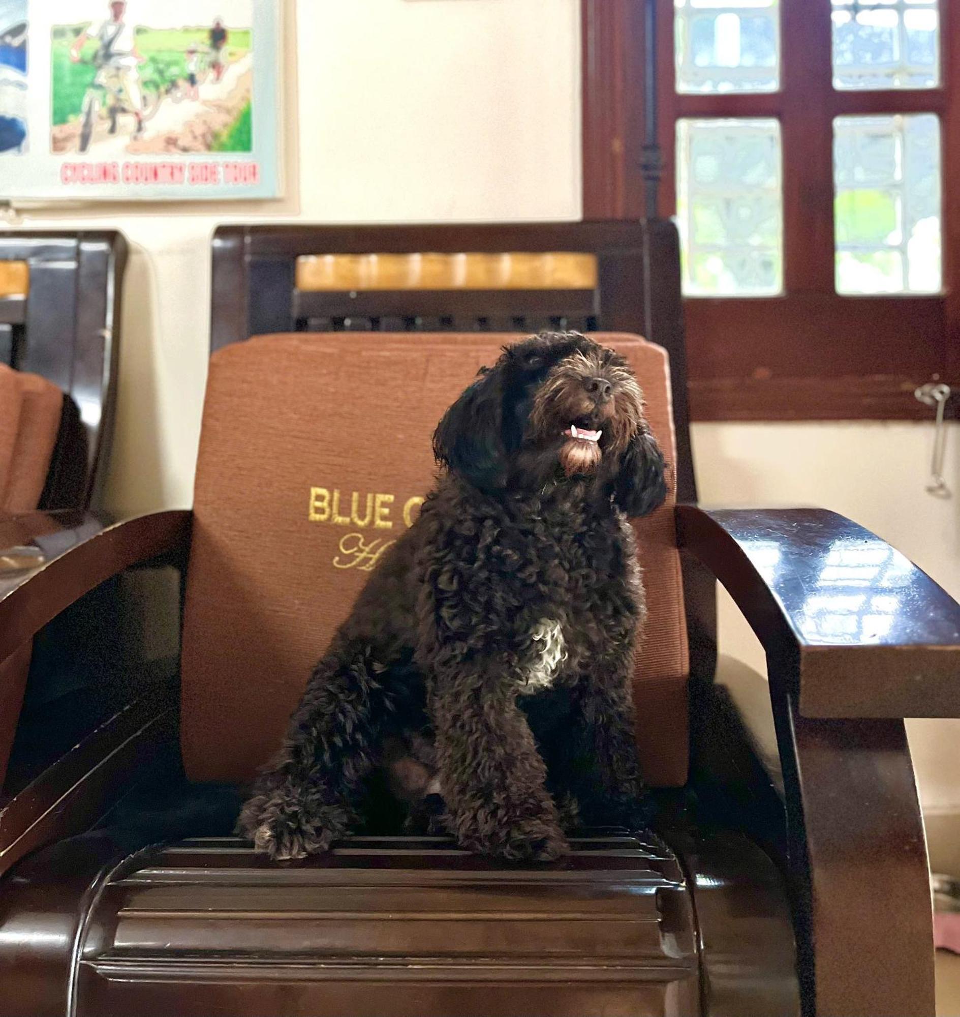 Blue Clouds Homestay Hoi An