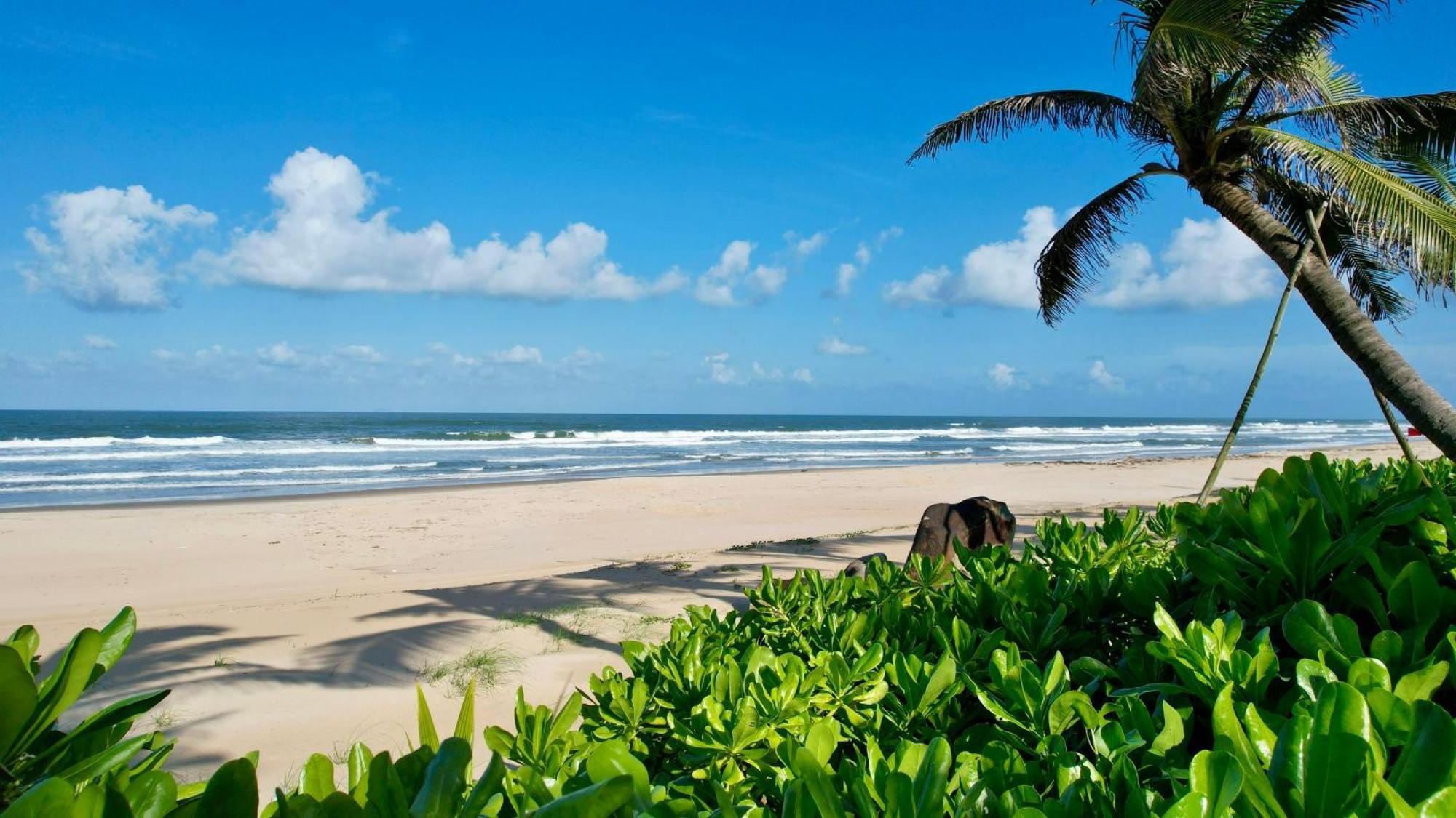 Bliss & Wellness Hoi An