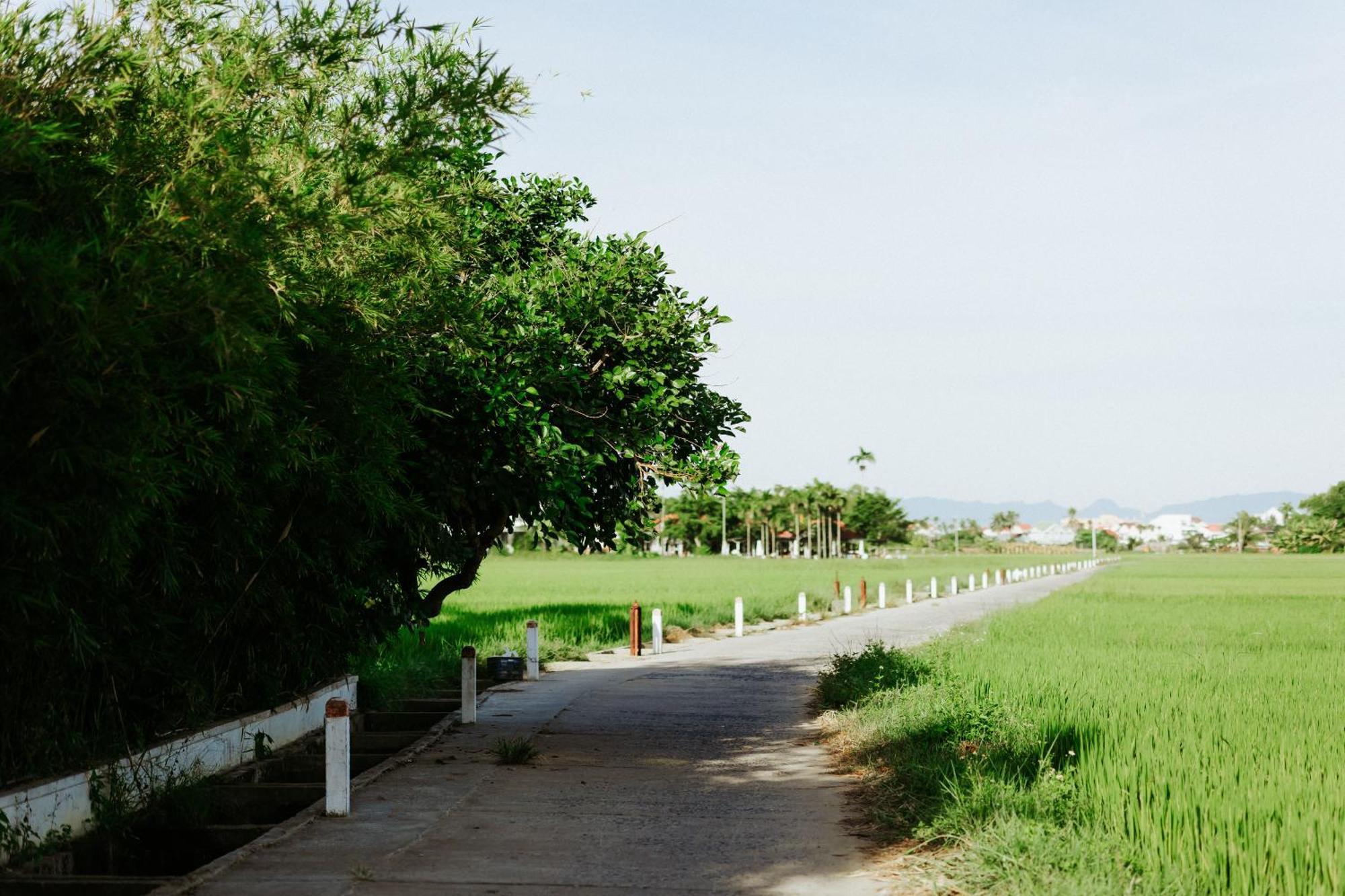 Villa Heron House Hoi An