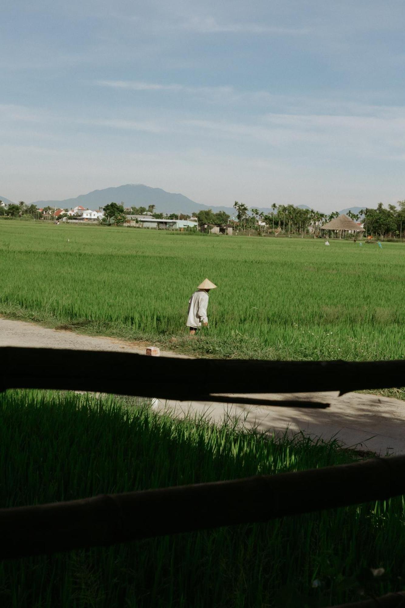 Heron House Hoi An