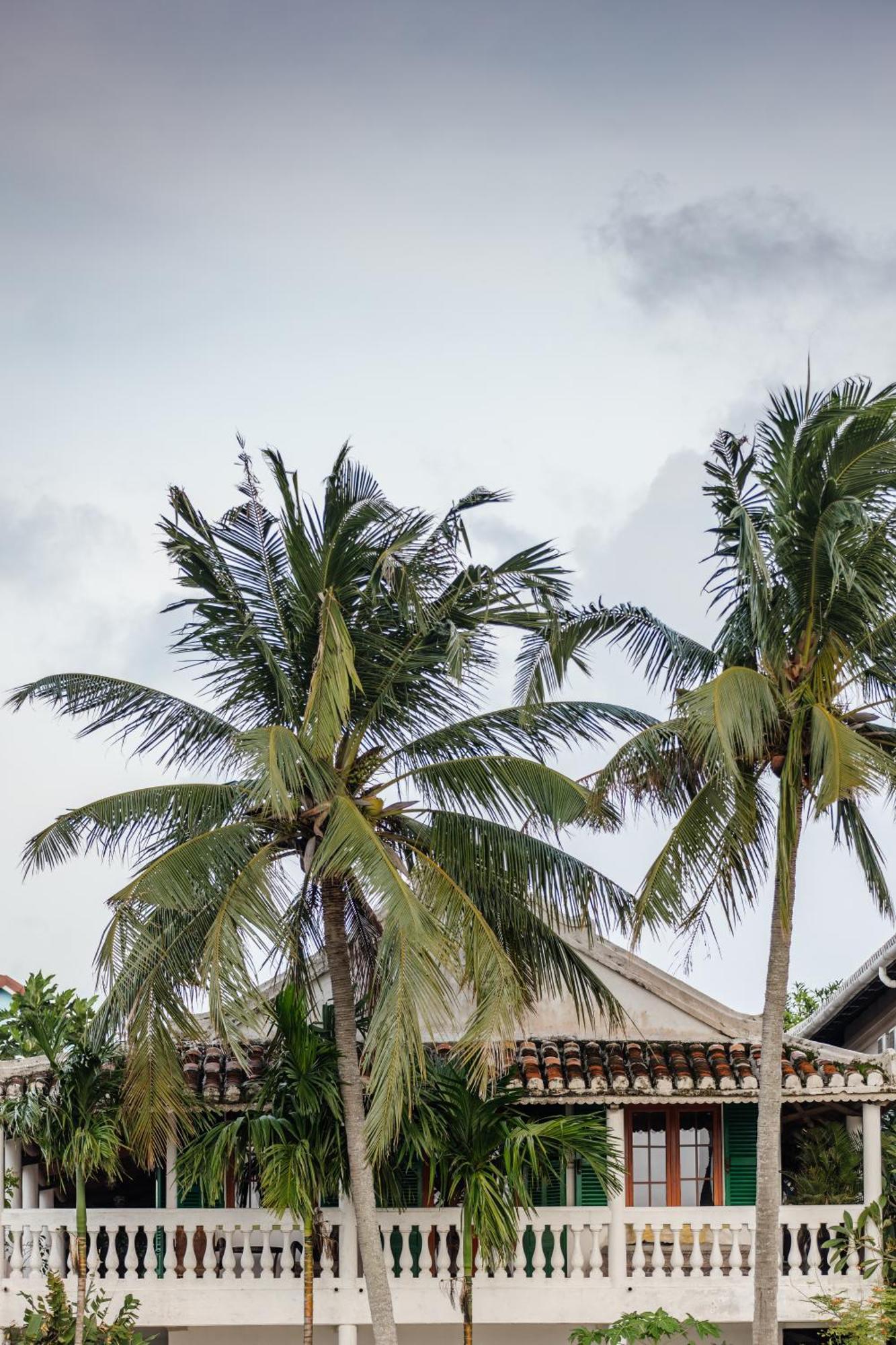 Heron House Villa *