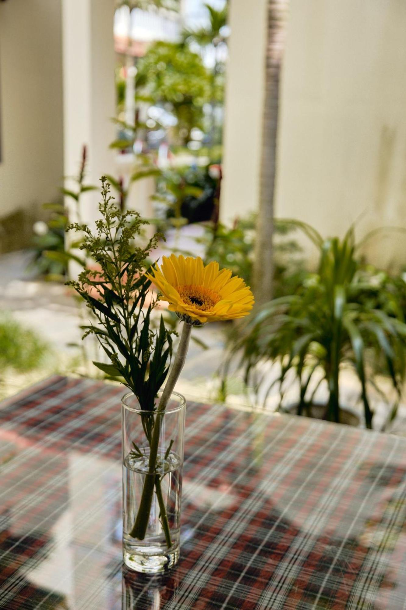 Hoi An Holiday Villa *