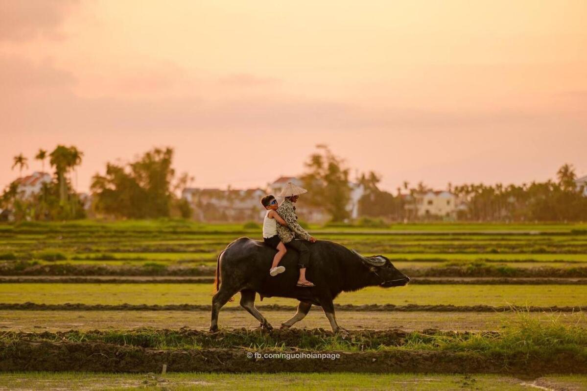 Villa Cozy 3bdr Btw An Bang & Ancient Town Hoi An