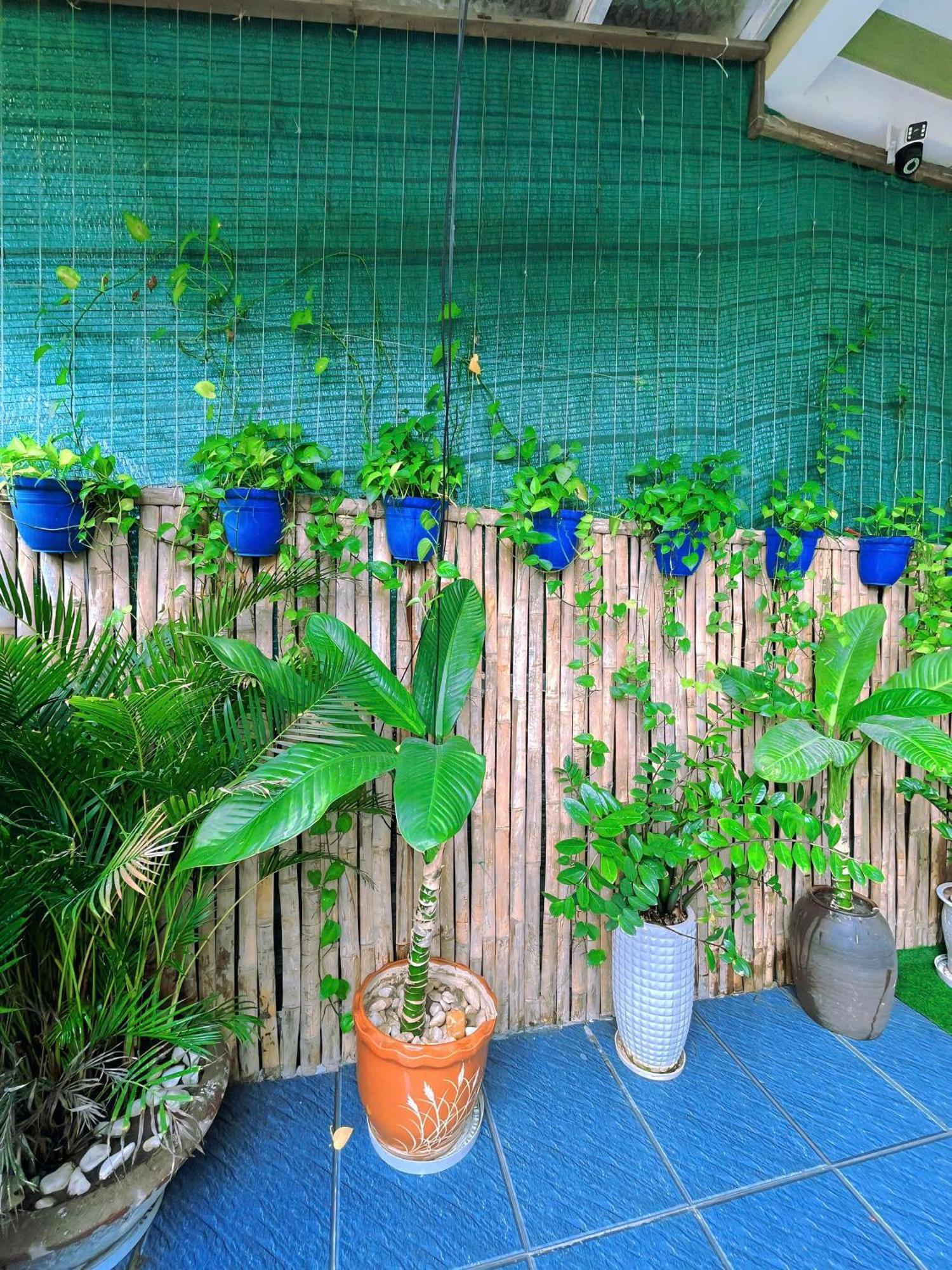 Nhà Dân Biển Cát Trắng An Bàng Ở trọ