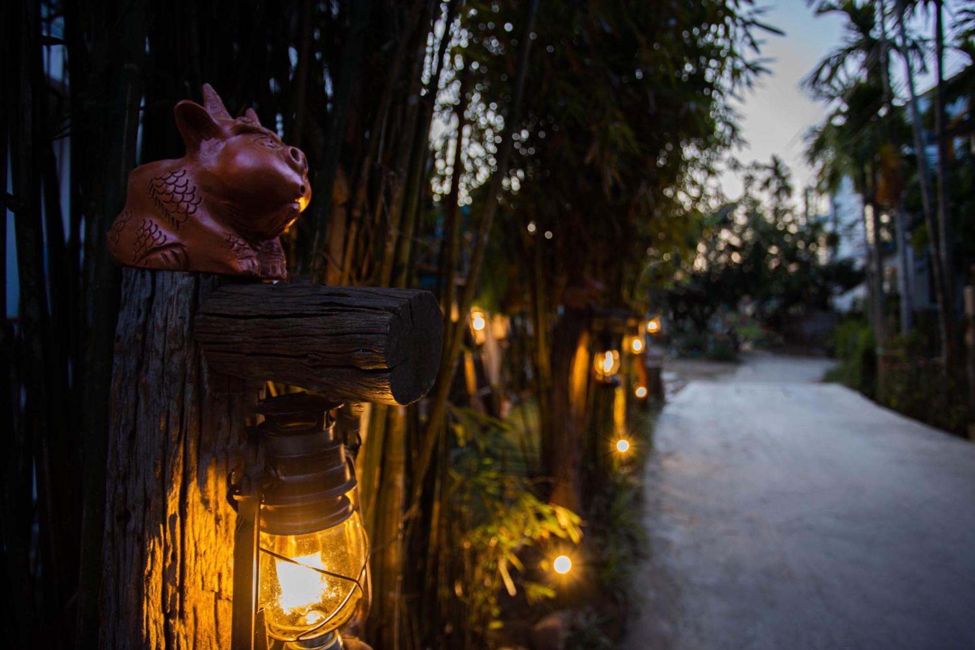 Fairy Garden 3*