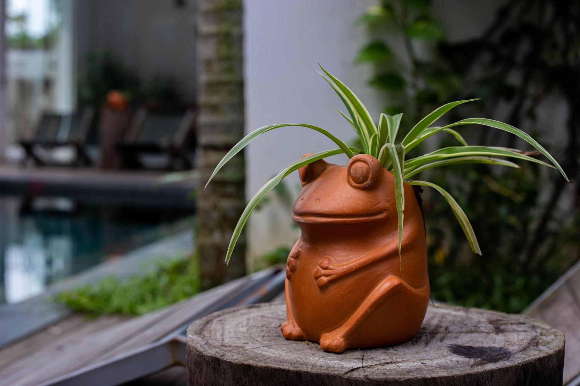 Fairy Garden 3* Hoi An