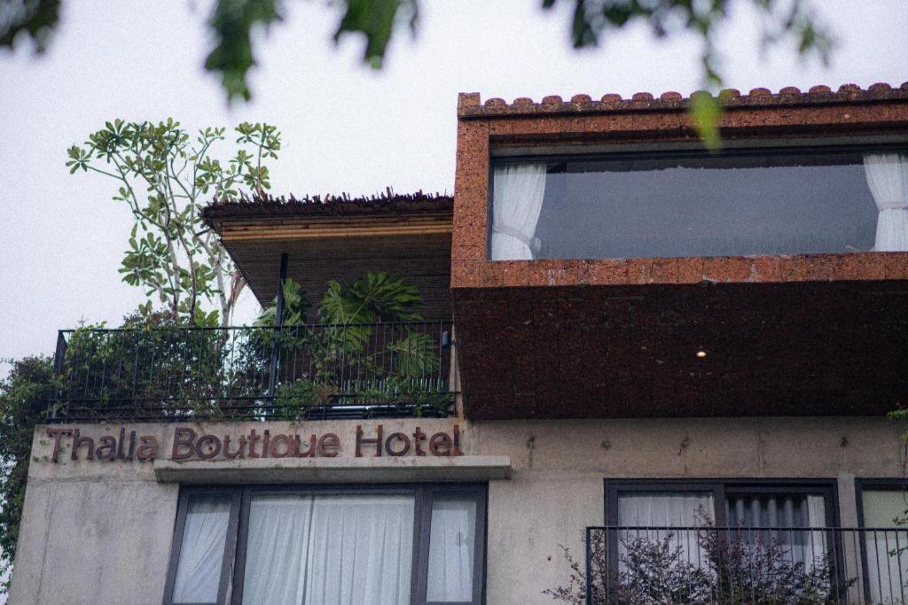 Thalia Boutique Hoian 3*
