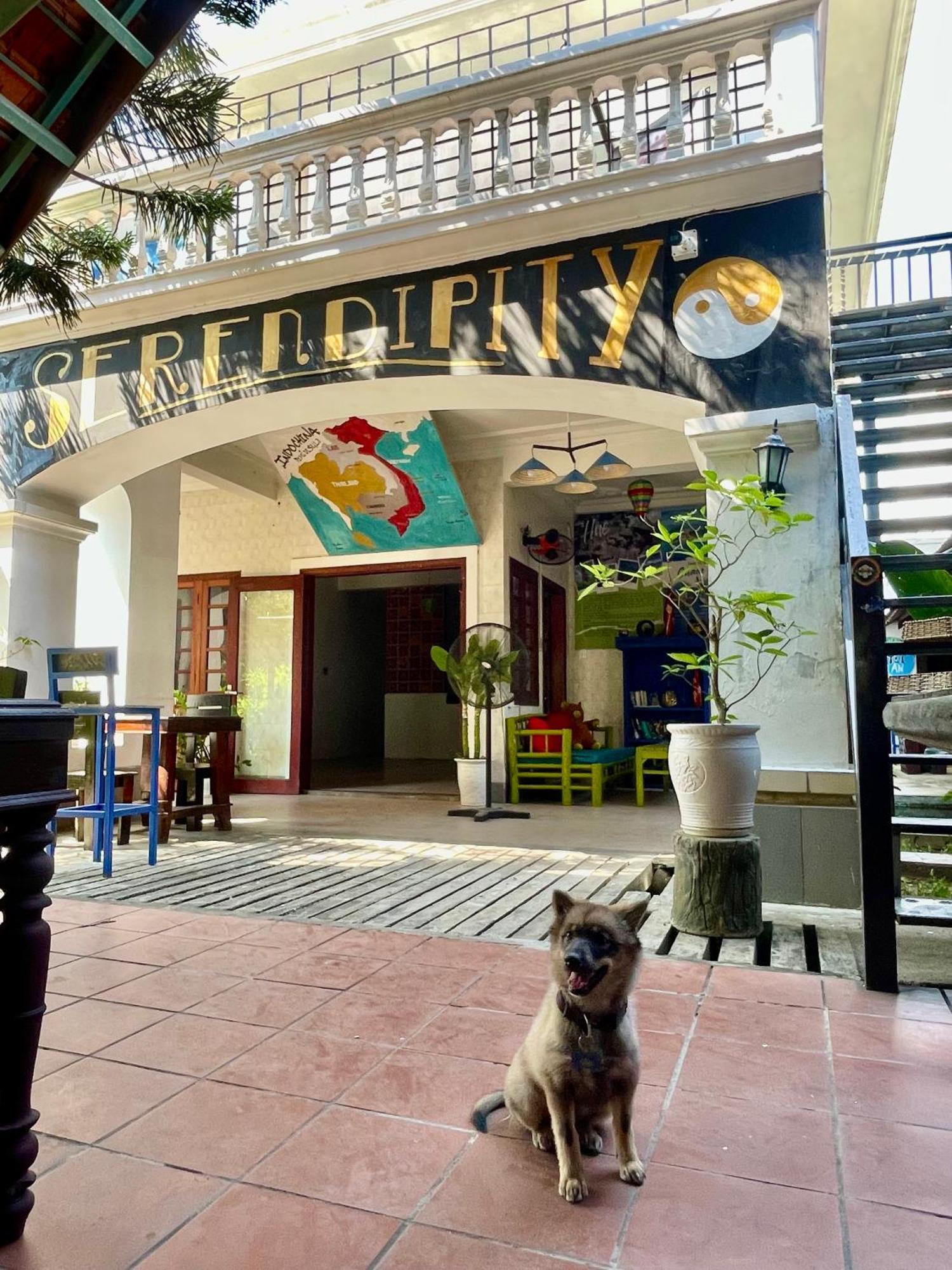 Serendipity Experience Hoi An Old Town * Hoi An