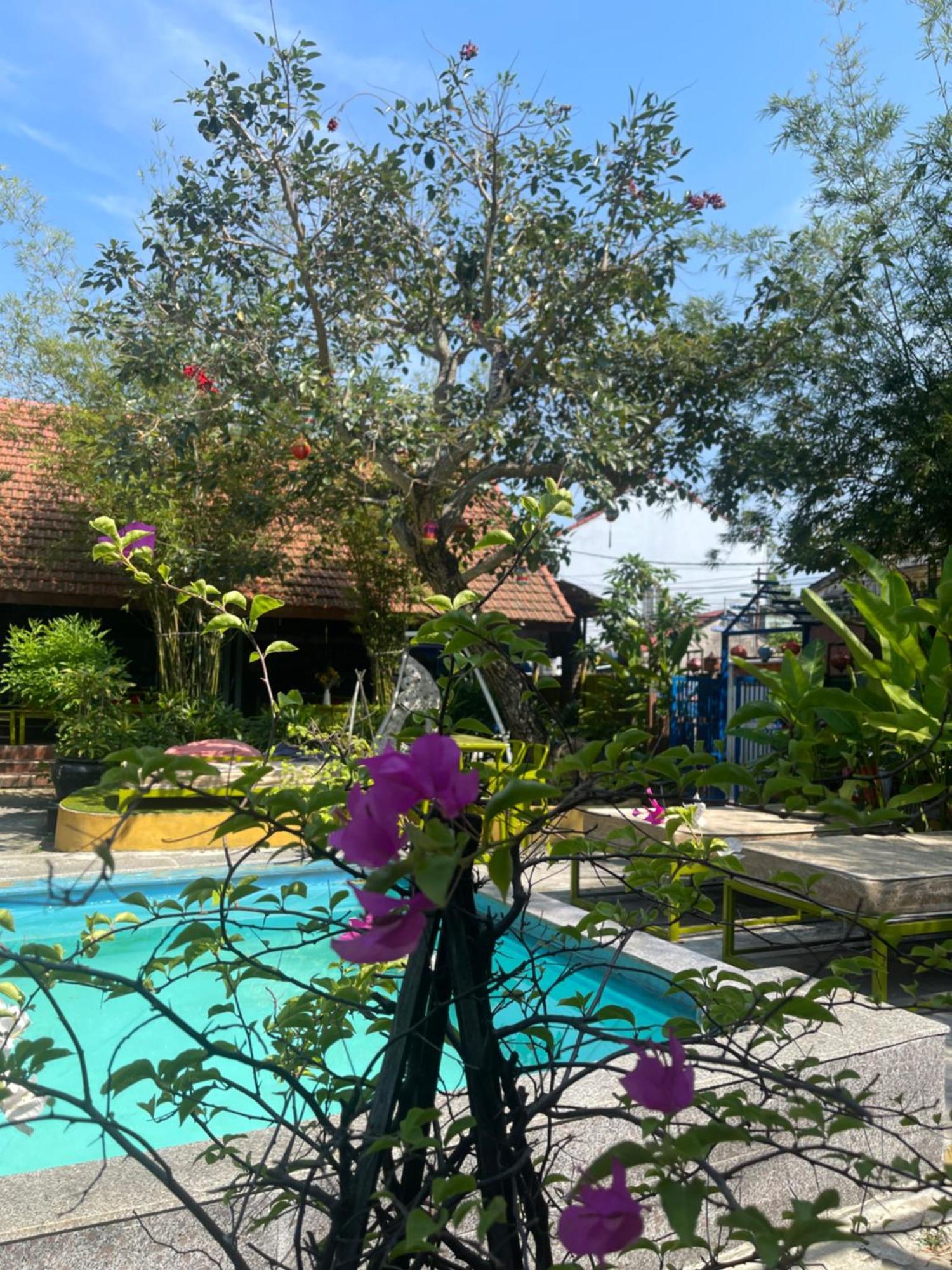 Serendipity Experience Hoi An Old Town Hostel