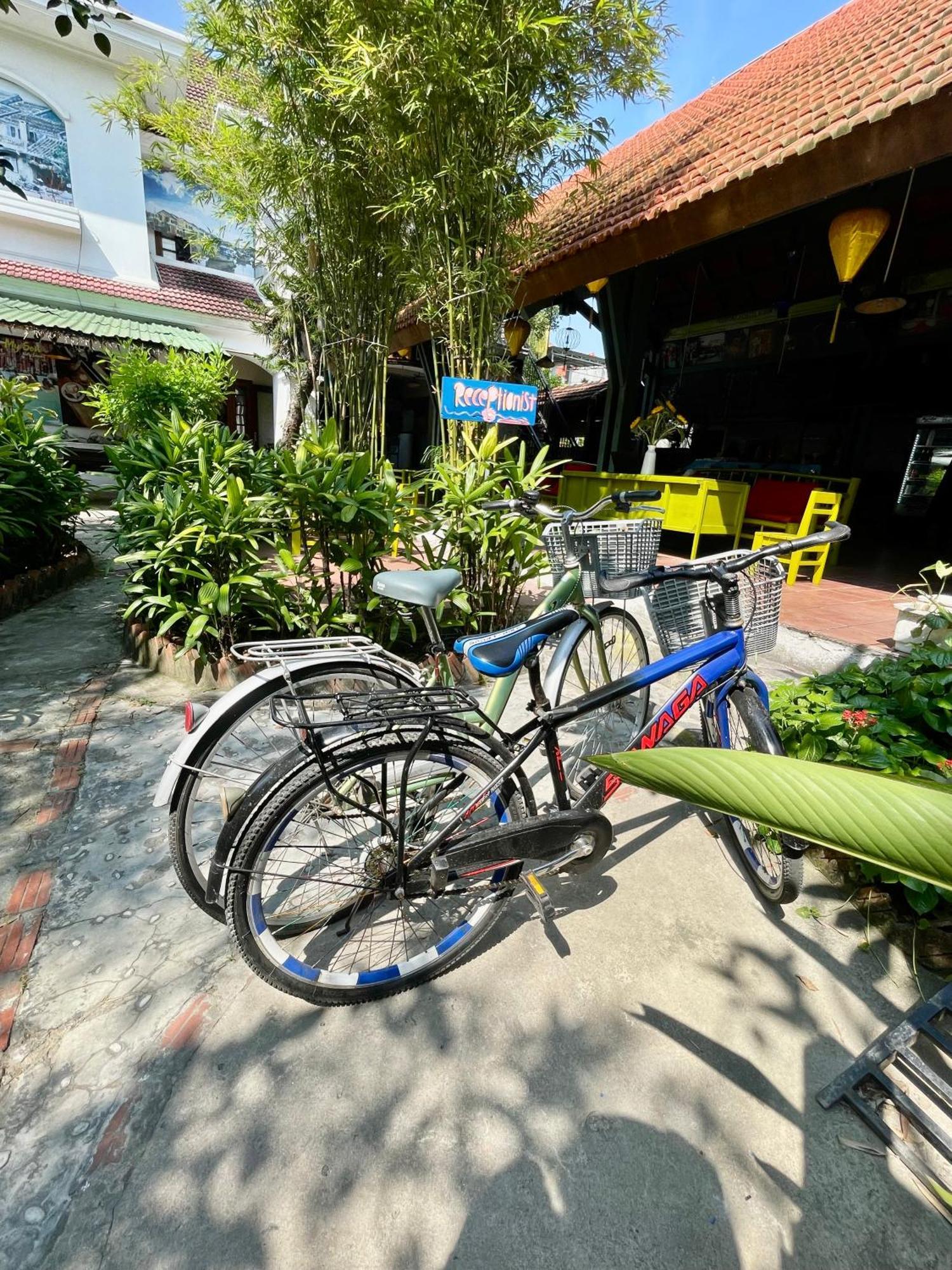 Hostel Serendipity Experience Hoi An Old Town *