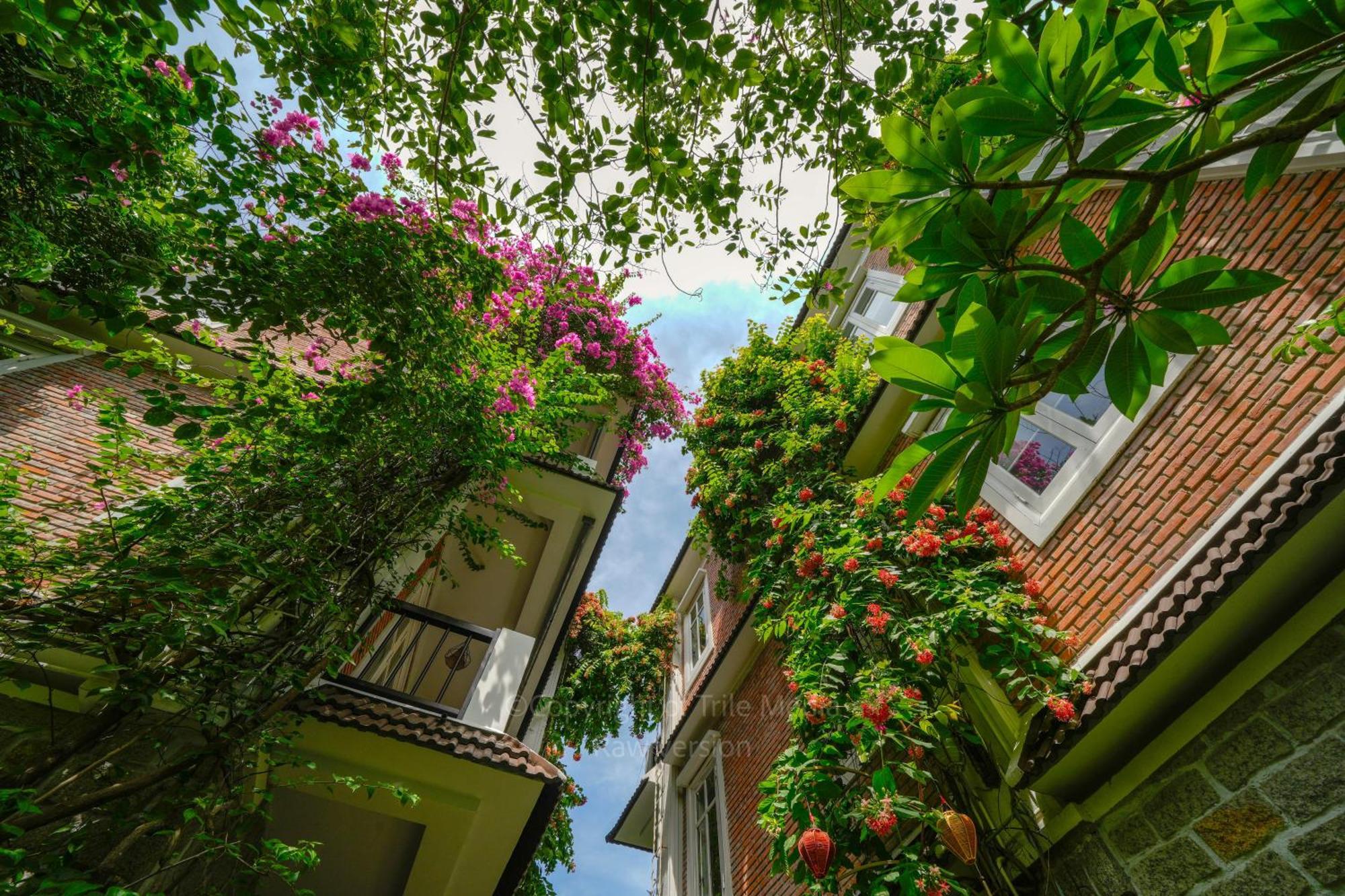 Ancient Garden Boutique Hoi An 4* Hoi An
