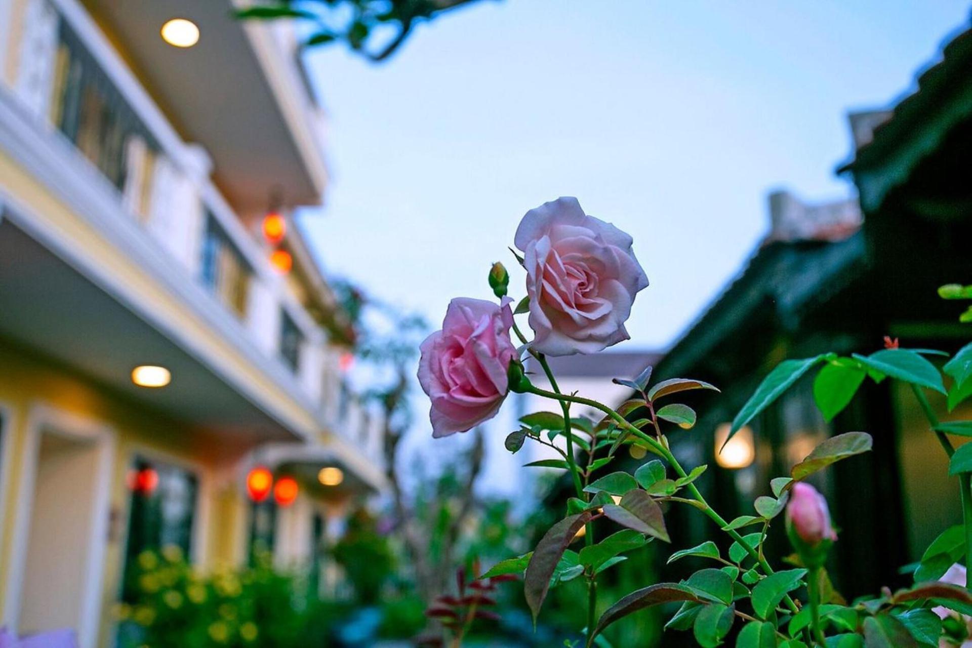 Resort Nature By K D H