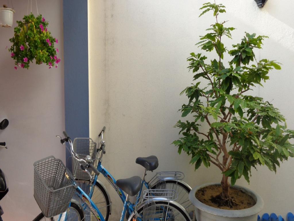 Banana Homestay Hoi An