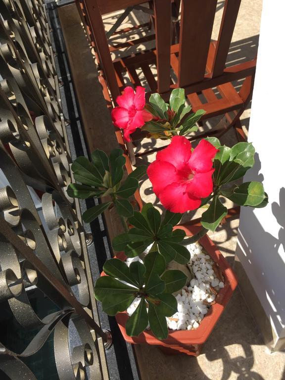 Bed & Breakfast Iris De Villa Hoi An Hoi An