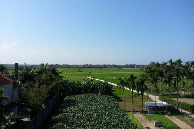 Homestay Rice Field *
