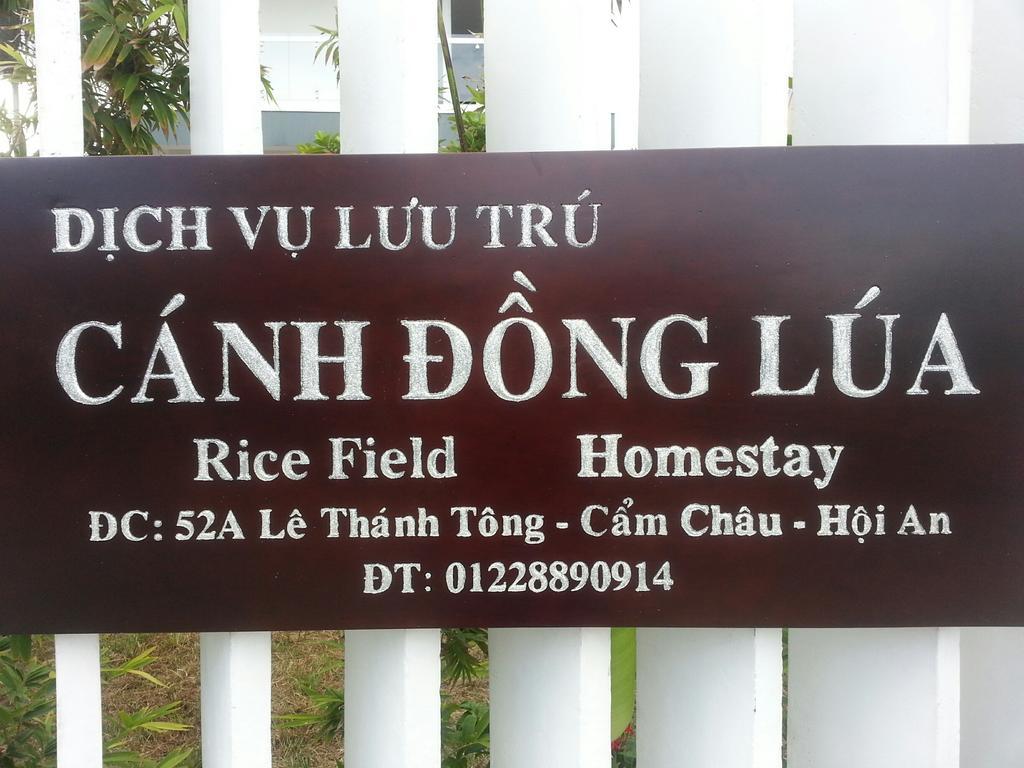 Rice Field Homestay Hoi An