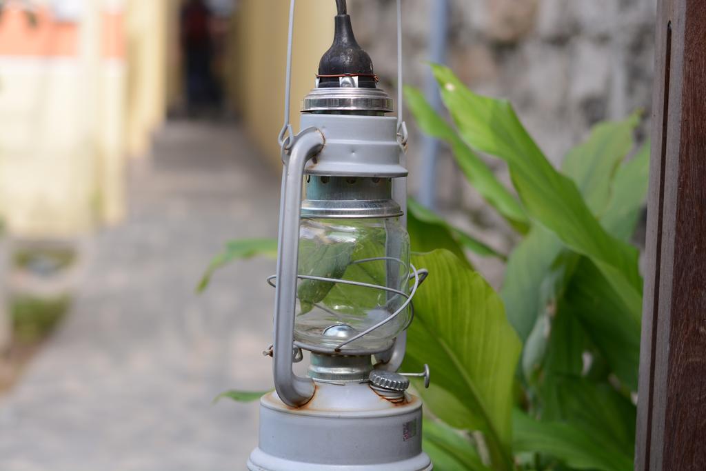 Botanic Garden Homestay