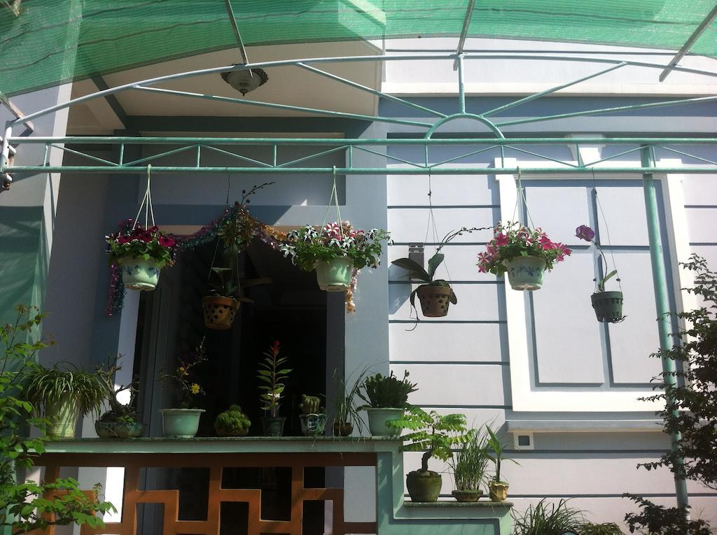 Homestay Areca Hoi An