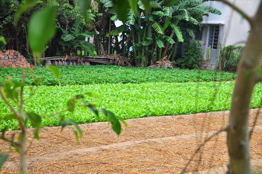 Petunia Garden Homestay&hostel Hoi An