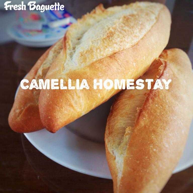 Homestay Camellia *