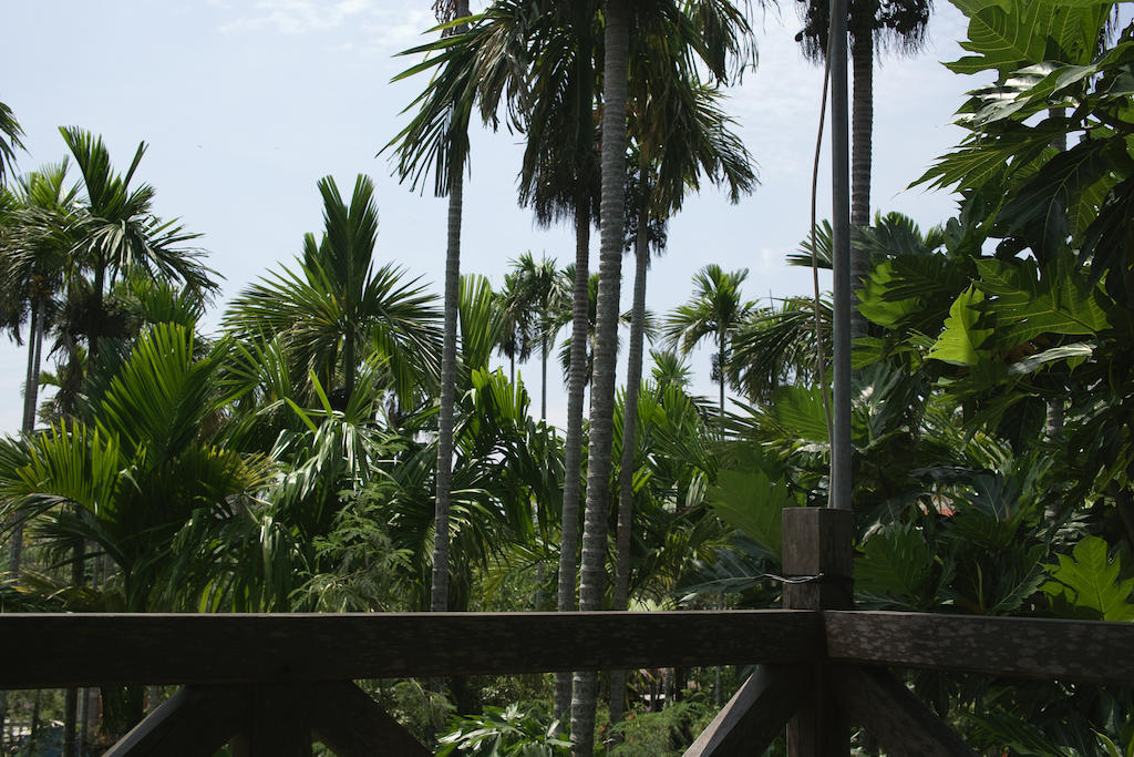 Homestay Lila Hoi An