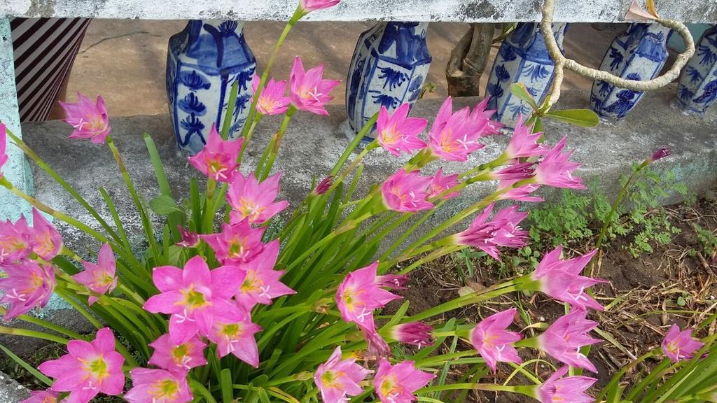 Center Hoi An