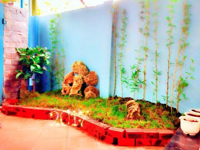 Sunny Homestay