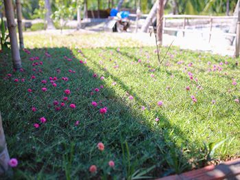 Pomelo Garden Boutique Hoi An