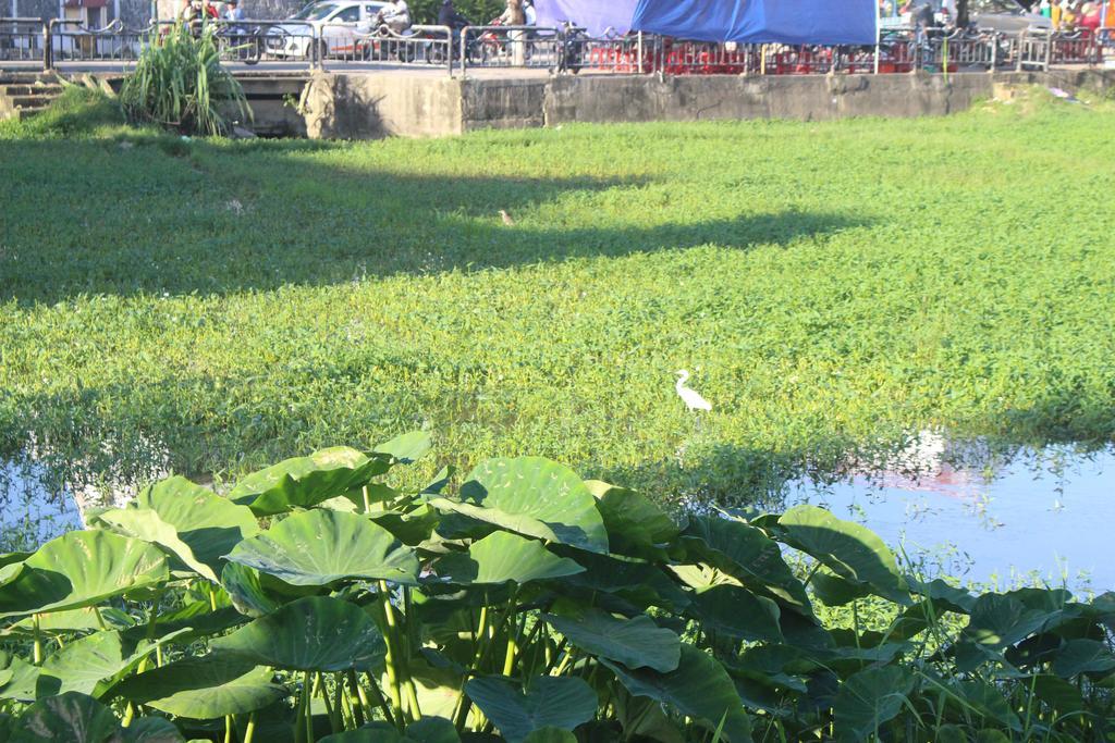Ở trọ View &