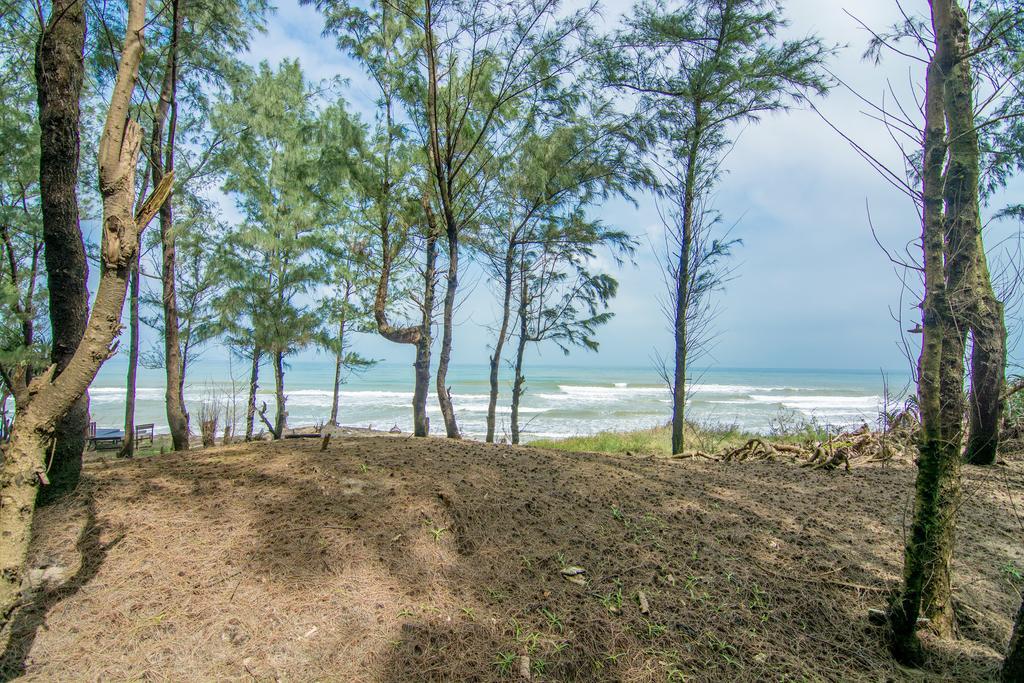 Sand Dune Homestay *