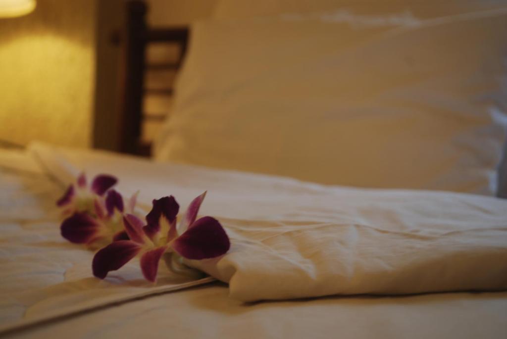 An Huy 2* Hoi An