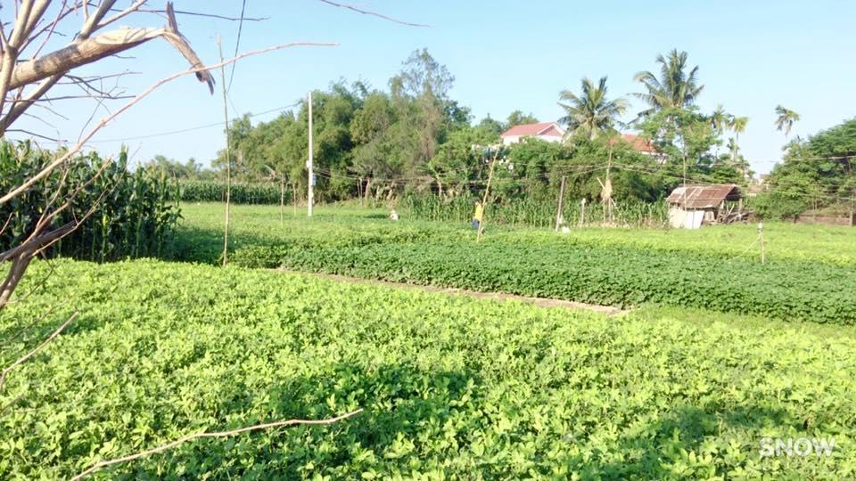 Sunny Homestay *