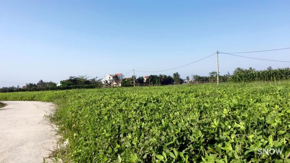 Sunny Homestay Hoi An