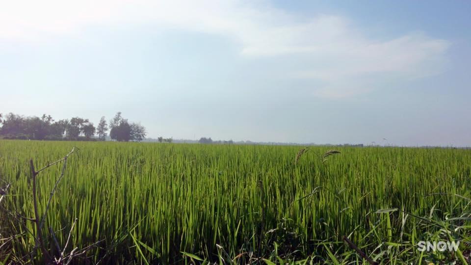 Sunny Homestay