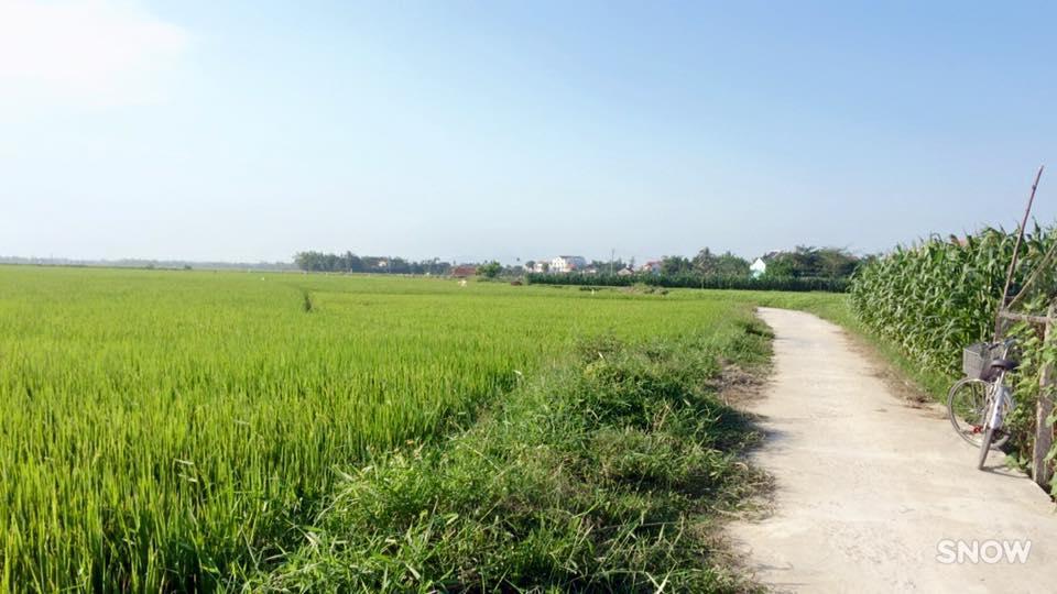 Homestay Sunny *