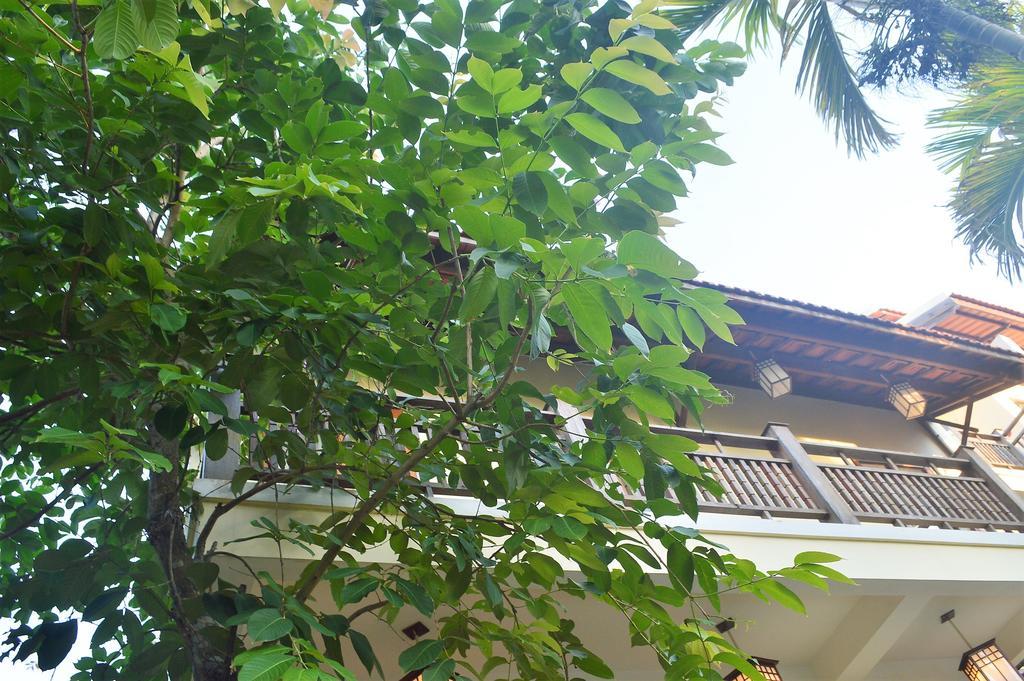 Orchid Garden Riverside Villa Hoi An