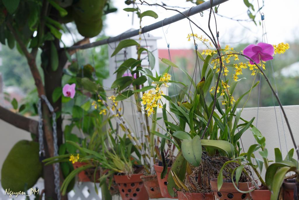 Gia Lam Biệt thự