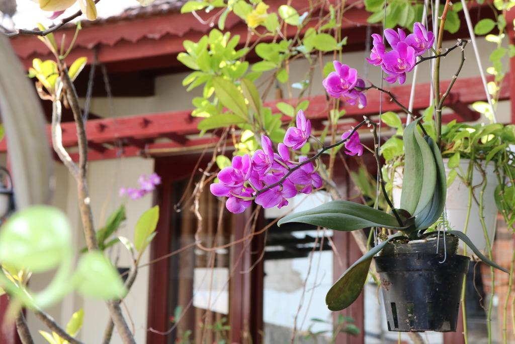 Nhi Trung Hotel