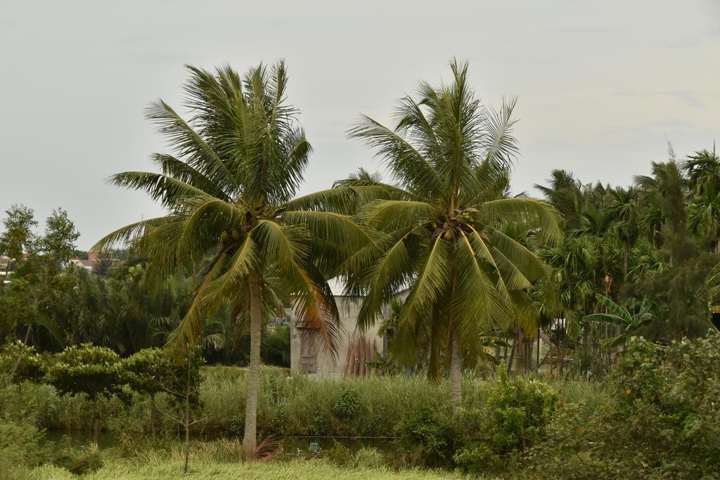 Water Palm Bed & Breakfast Hoi An