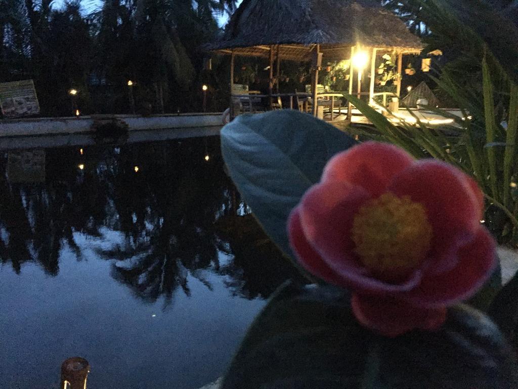 Water Palm Bed & Breakfast 2*