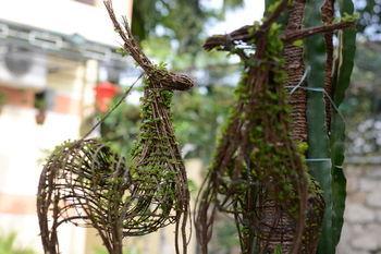 Botanic Garden *