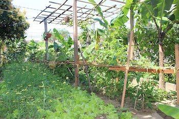 Hoian Joy Homestay