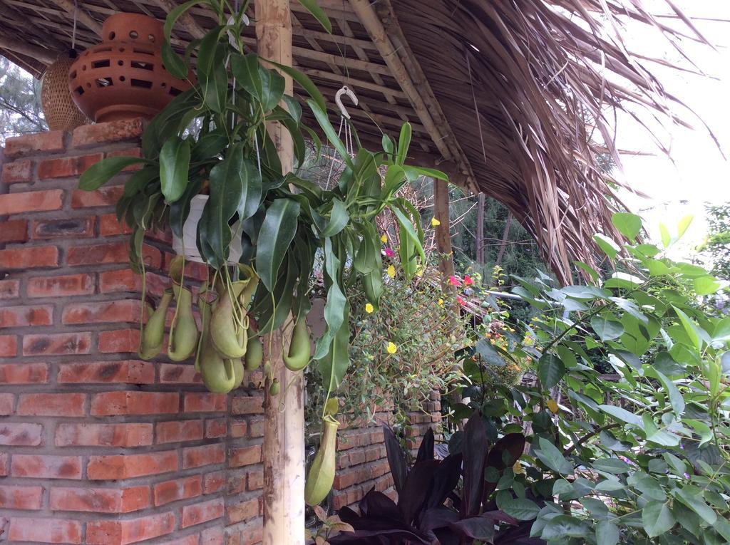 An Bang Lan's Homestay